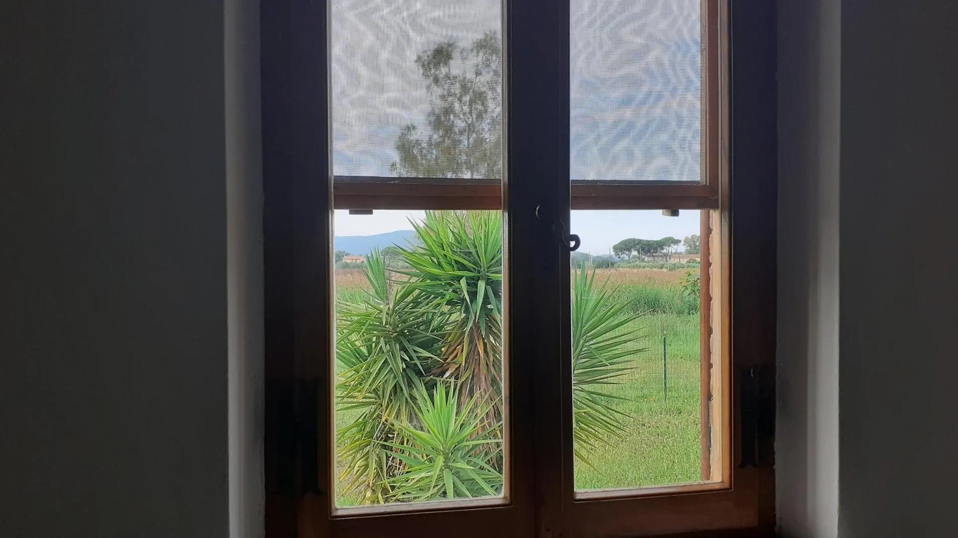 Guest house Casa Porciatti Hotel Grosseto Italy